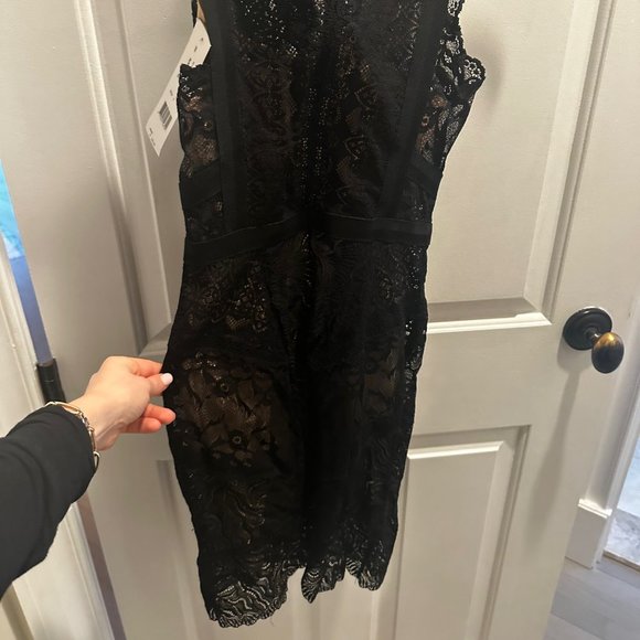 Nicole Miller New York Sleeveless V Neck Lace Dress - Daiquiri - Picture 4 of 10